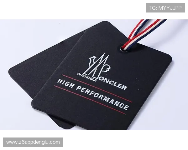 解析尊龙凯时人生就博官网登录在行业中的市场份额与地位